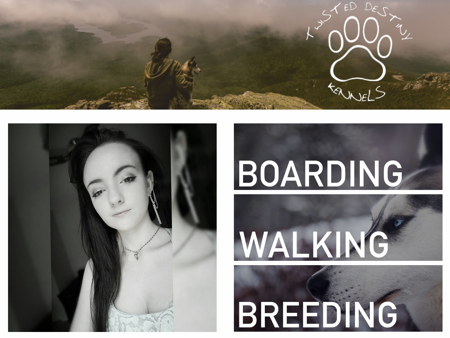 Screenshot of the Site